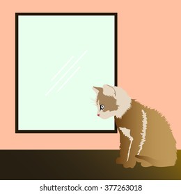 Cat in the Window