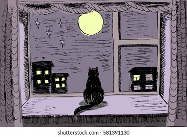 Cat at the window.