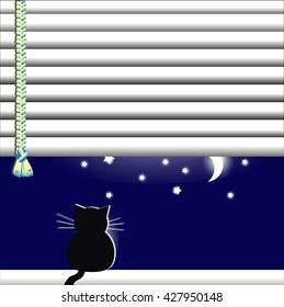 Cat in the window looking at the moon and stars