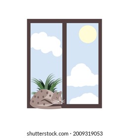 cat in the window and plant