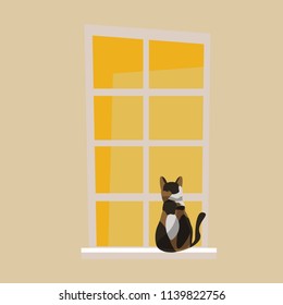 cat and window vector illustration 