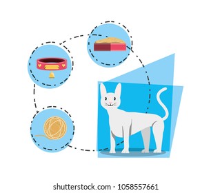cat wirh can food