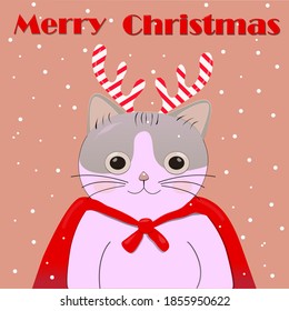 Cat wish you Merry Christmas. Christmas illustration with cat for the greeting card, poster, banner, web design, gift wrap.