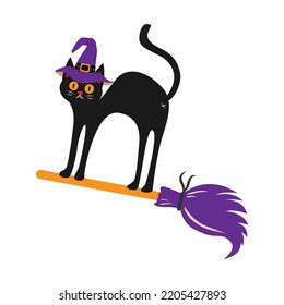 A cat in a witch's hat flies on a broomstick. vector illustration