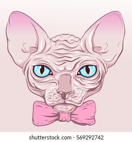 The cat without fur, hairless, sphinx pink bow