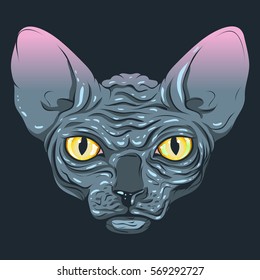 The cat without fur, sphinx with a dark gray color, yellow eyes
