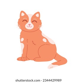 Cat without one paw. Cat with an amputated paw. Veterinarian, veterinary clinic, injured cat. Vector illustration in flat style