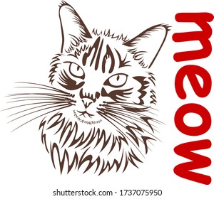 Cat with word Meow on white background. Vector image