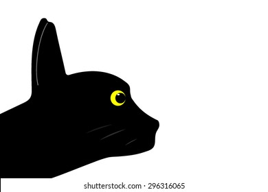 Cat with yellow eyes.