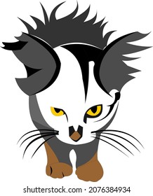 a cat with yellow eyes with fur standing up illustrates an angry cat