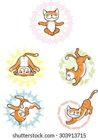 Cat Yoga