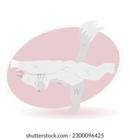 Cat yoga. Various yoga poses, asanas and exercises. White cat is doing yoga. Vector illustration.