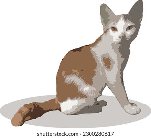cat for your daily inspiration 02