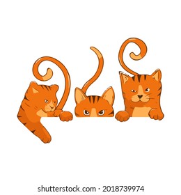 cat in your pocket funny panoramic mug design vector illustration for use in design and print poster canvas