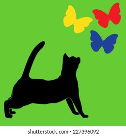 cat_and_butterflies