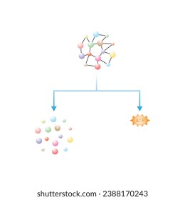 Catabolic Reactions (Anabolism) Scientific Design. Vector Illustration.