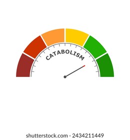 Catabolism high level on measure scale. Instrument scale with arrow. Colorful infographic gauge element. Catabolism breaks down large molecules with ATP as energy into smaller units.