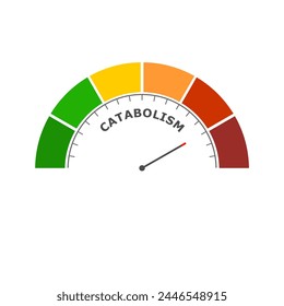 Catabolism low level on measure scale. Instrument scale with arrow. Colorful infographic gauge element. Catabolism breaks down large molecules with ATP as energy into smaller units.