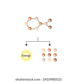 Catabolism is process of breaking down complex macromolecules into small molecules. ATP energy. Vector design.