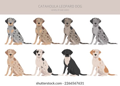 Catahoula Leopard dog clipart. All coat colors set.  Different position. All dog breeds characteristics infographic. Vector illustration