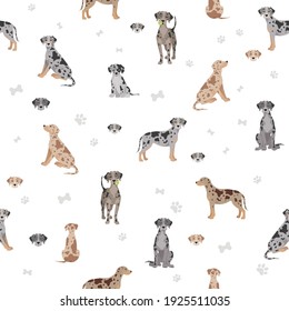 Catahoula leopard dog seamless pattern. Different poses, coat colors set.  Vector illustration