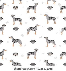 Catahoula leopard dog seamless pattern. Different poses, coat colors set.  Vector illustration