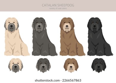 Catalan Sheepdog clipart. Different poses, coat colors set.  Vector illustration