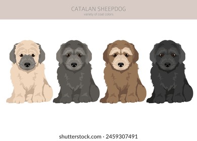 Catalan Sheepdog puppy clipart. Different poses, coat colors set.  Vector illustration