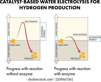 Catalyst Based Water Electrolysis Electrochemical Reactions