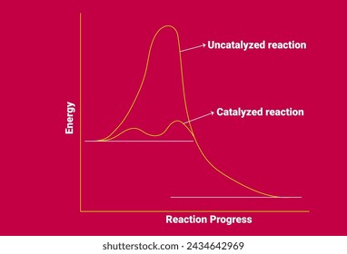 Catalyst: A catalyst is a substance that speeds up the rate of a chemical reaction