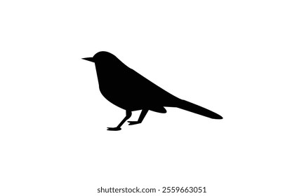 Catbird Silhouette Design  And Vector Illustration. 