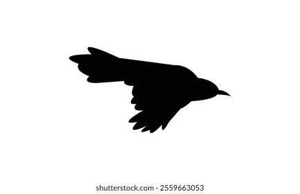 Catbird Silhouette Design  And Vector Illustration. 