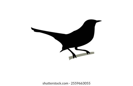 Catbird Silhouette Design  And Vector Illustration. 