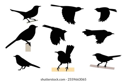 Catbird Silhouette Design  And Vector Illustration. 