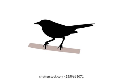 Catbird Silhouette Design  And Vector Illustration. 