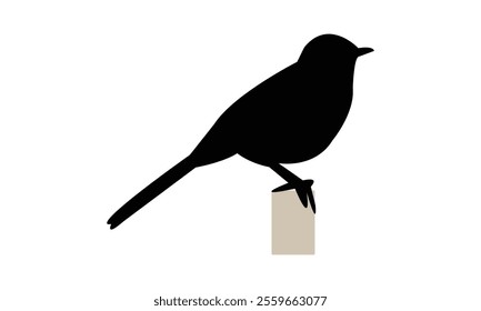 Catbird Silhouette Design  And Vector Illustration. 