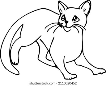 CAT.Black and white linear illustration depicting funny cats,coloring book for children and adults,line art wall art,posters,shaft art,stained glass style,abstraction,vector.