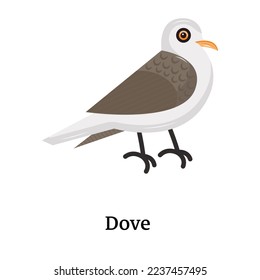 Catch a sight of this beautiful bird icon, flat vector 