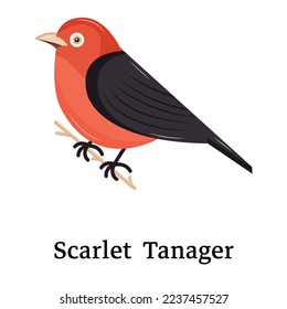 Catch a sight of this beautiful bird icon, flat vector 
