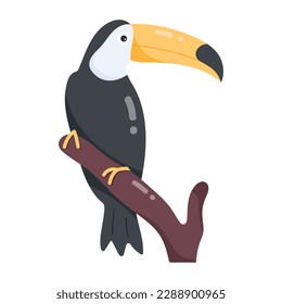 Fangen Sie einen Blickwinkel auf einen Toucan-Flachaufkleber 
