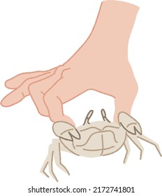 Catch wild crabs by hand