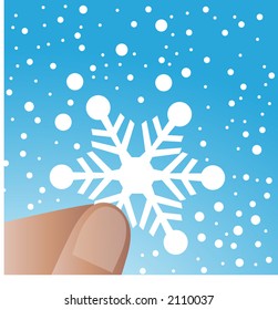 catching a snowflake (see series)
