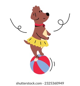 Catchy flat illustration of circus pet 