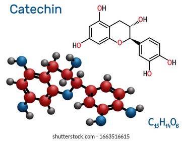 Catechin, flavonoid, C15H14O6 molecule. It is flavanol, a type of natural phenol and antioxidant. Structural chemical formula and molecule model. Vector illustration