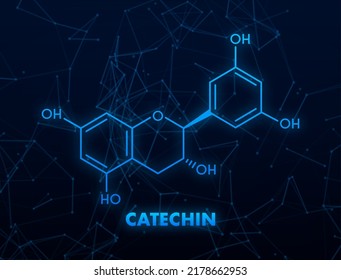 Catechin formula. Icon with green catechin formula