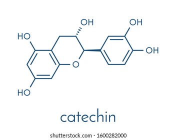 Catechin herbal antioxidant molecule. Skeletal formula.