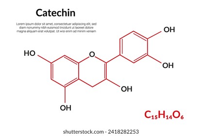 Catechin natural plant flavonol, molecular structure formula, suitable for education or chemistry science content. Vector illustration