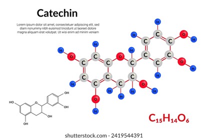 Catechin natural plant flavonol, molecular structure formula, ball-and-stick model, suitable for education or chemistry science content. Vector illustration