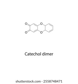 Catechol dimer skeletal structure diagram.organic compound molecule scientific illustration.
