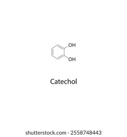 Catechol skeletal structure diagram.organic compound molecule scientific illustration.